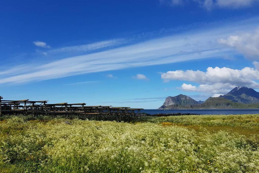 Lofoten- Enjoy The Nature-With A Beautiful Beach Napp Ngoại thất bức ảnh